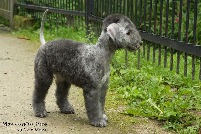 Antares 2009-08-01 & 02 (41).JPG